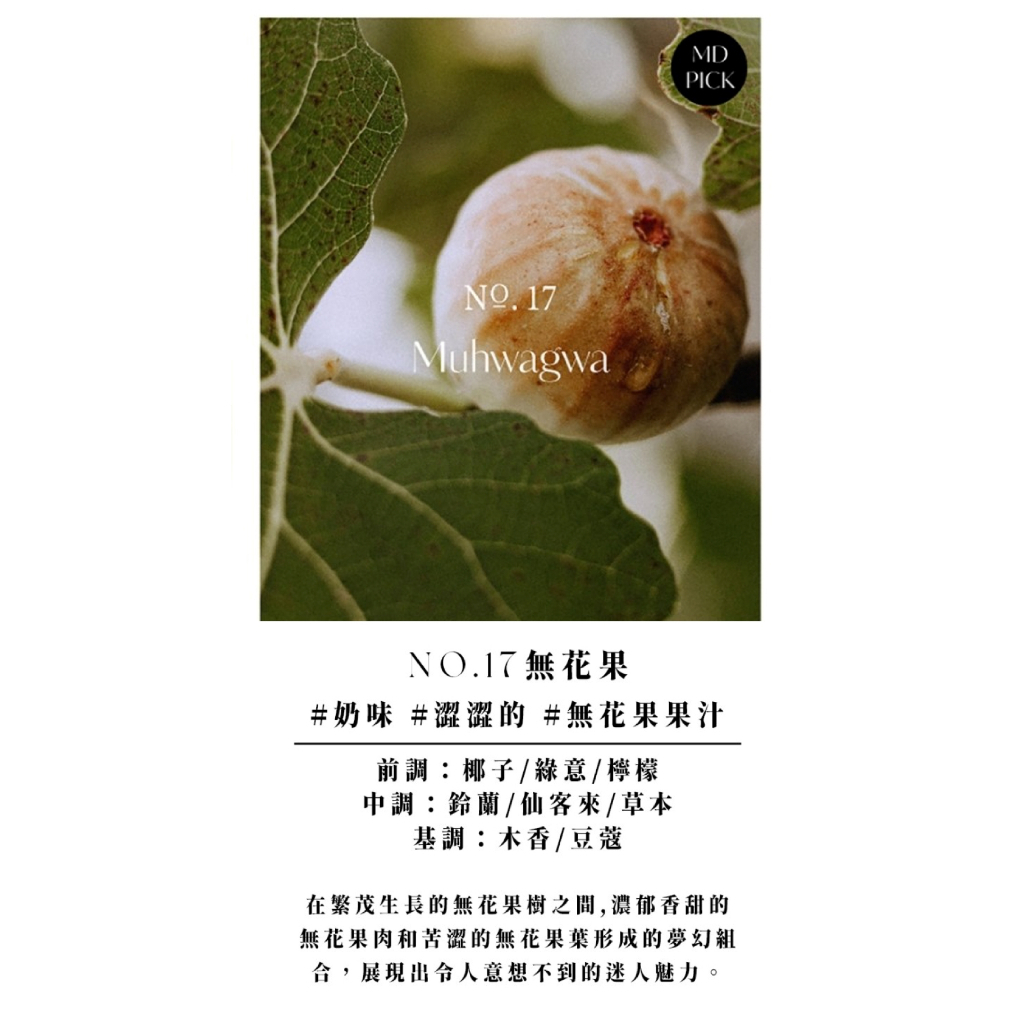 飯店療癒沐浴乳｜無花果｜Hetras