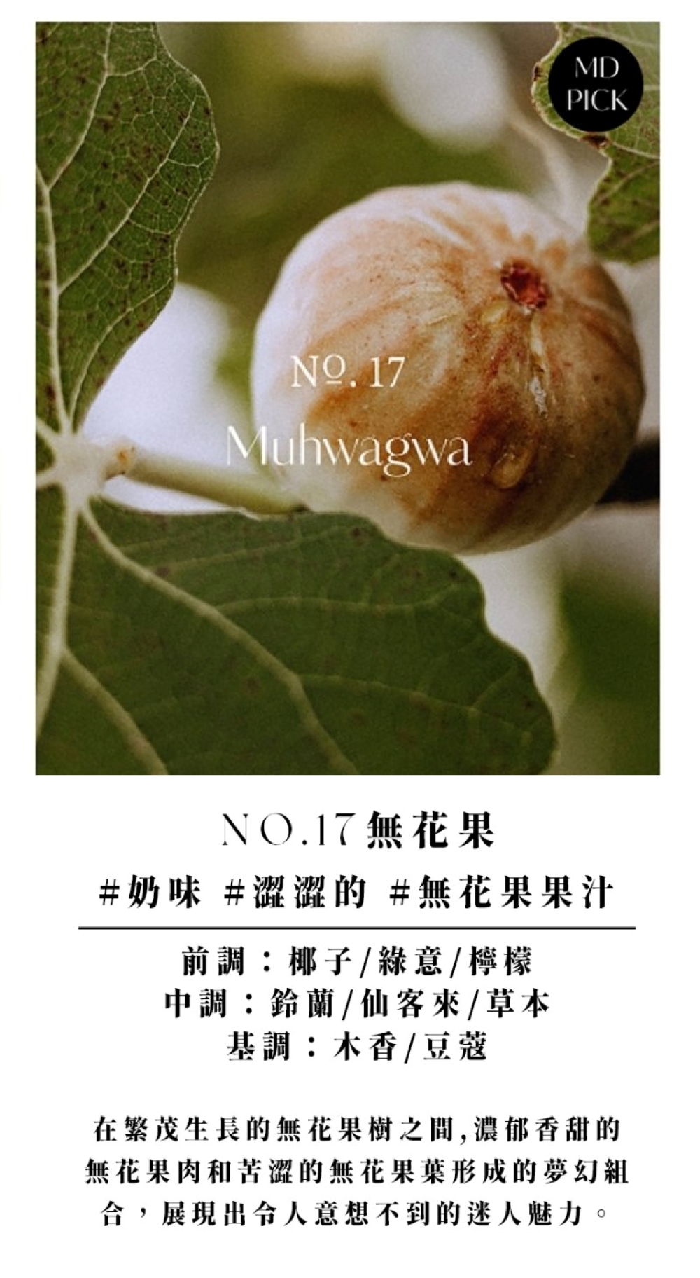 無花果2