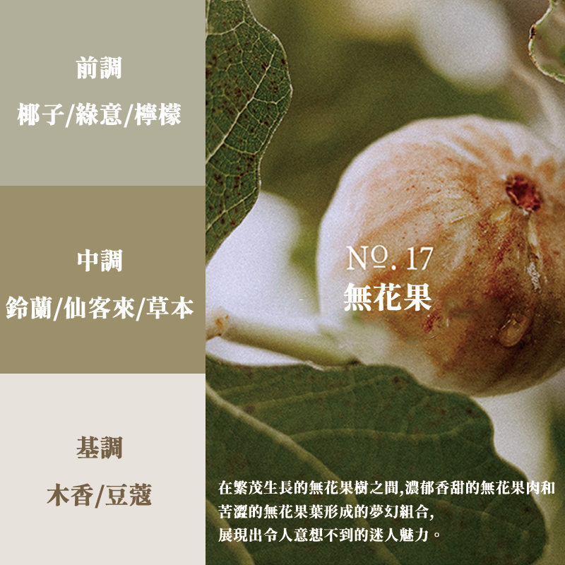 Hetras．首席調香師藝術擴香_S1_無花果