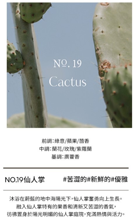 仙人掌