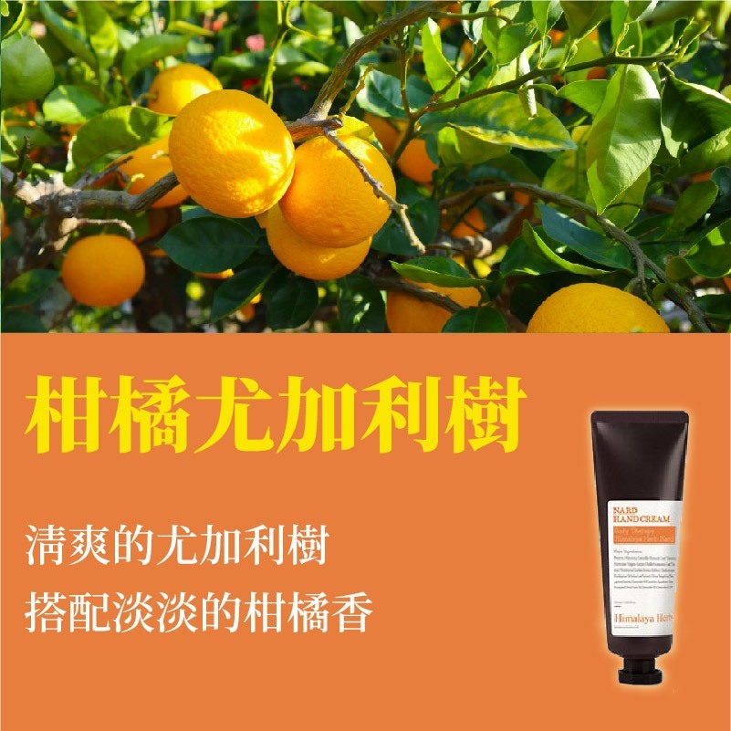 tw-11134207-7rbk4-mamkcp7dyuwp13