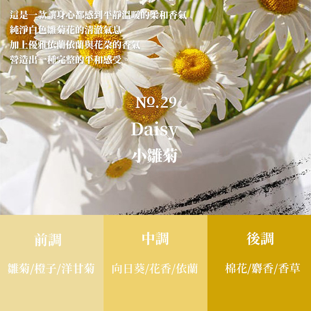 小雛菊