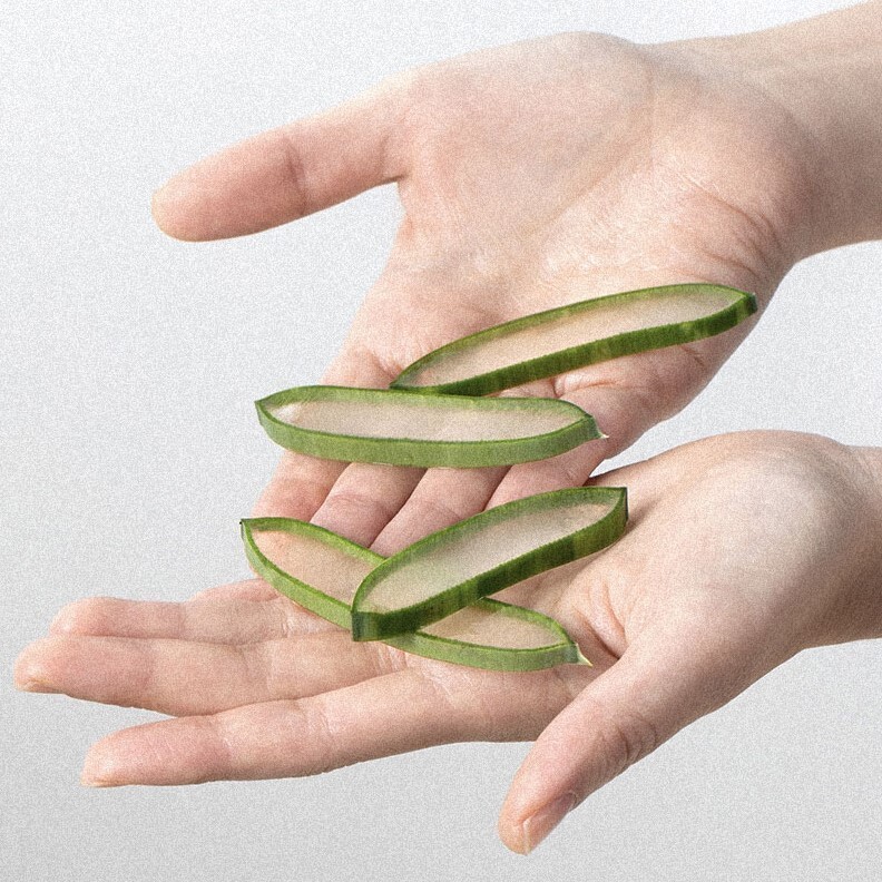 tw-11134207-81ztp-mg53fx7odjii41