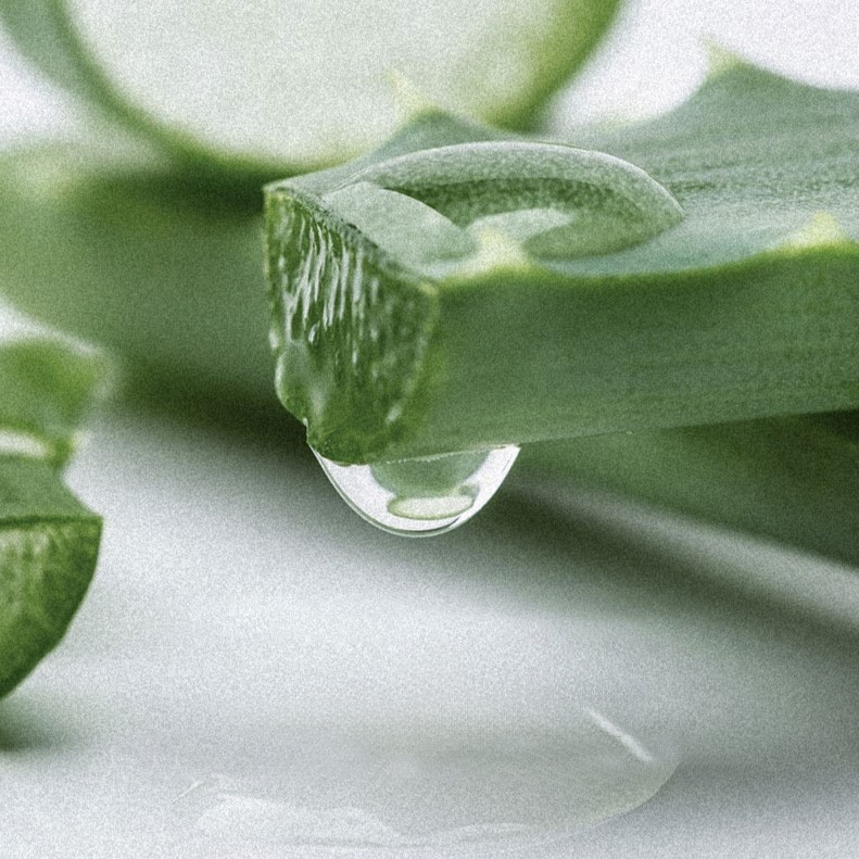 tw-11134207-81ztn-mg53fx7rnj7t8a