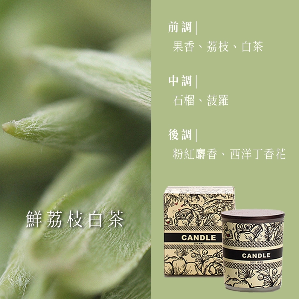 tw-11134207-81ztm-mglxhoinint4a8