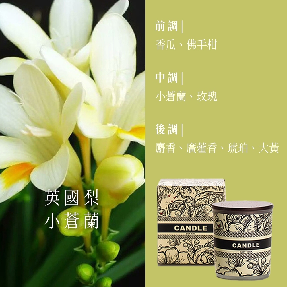 tw-11134207-81zte-mglxhqonhatr01