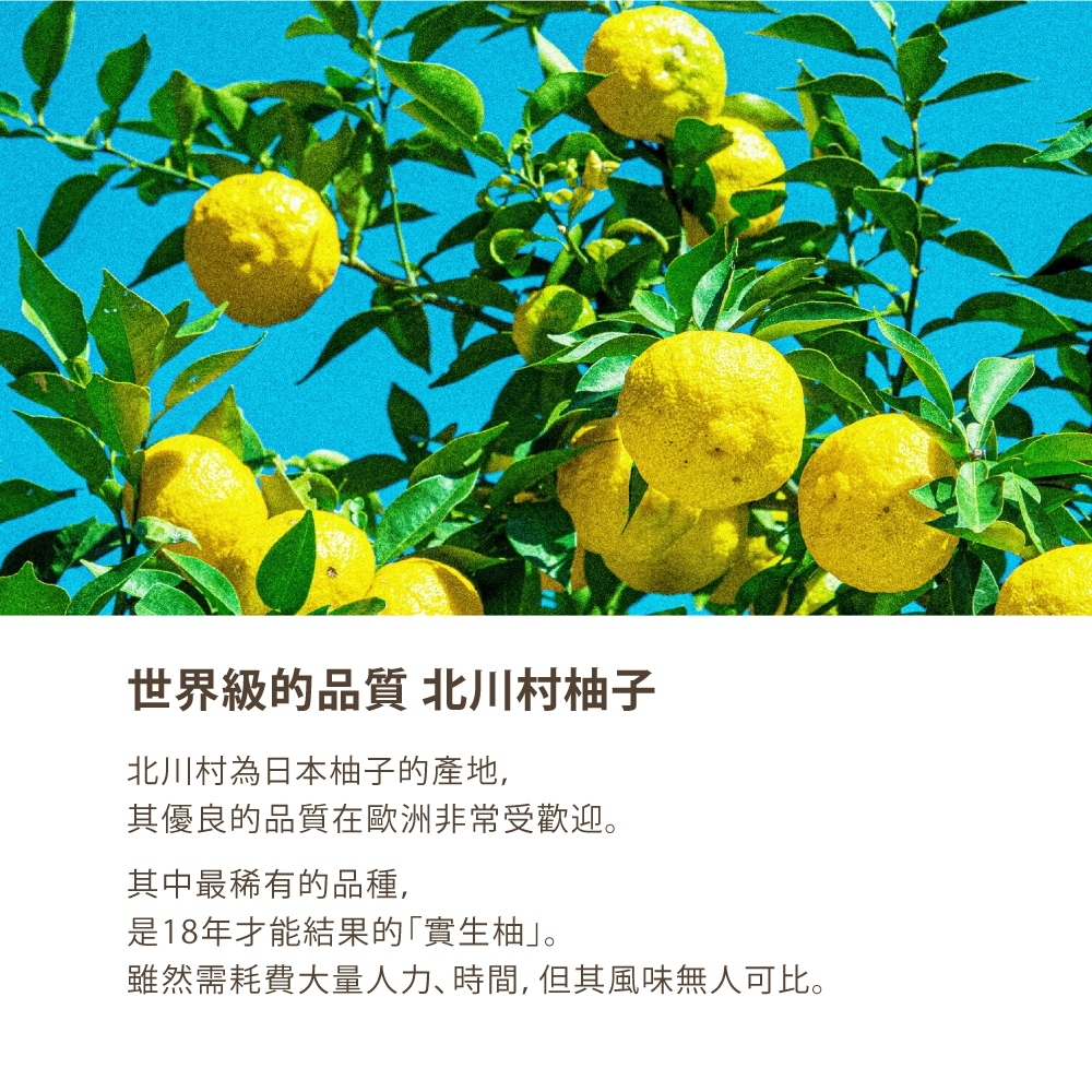 tw-11134207-81ztm-mjtkvvez39xh09