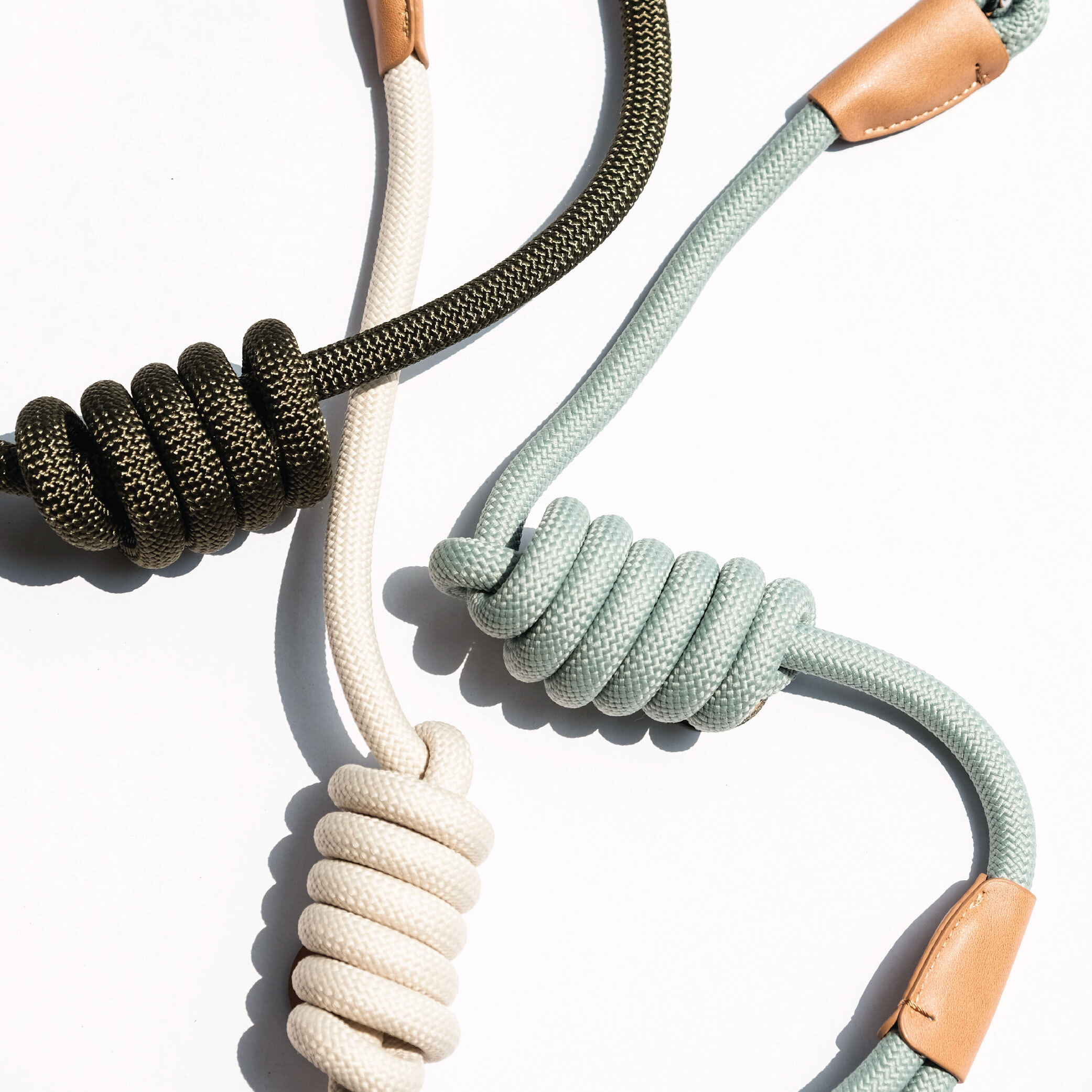 Leash 01 -12