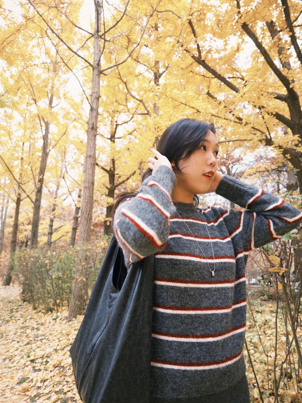 fxn 2024-11-16 144407.348-1732363992414