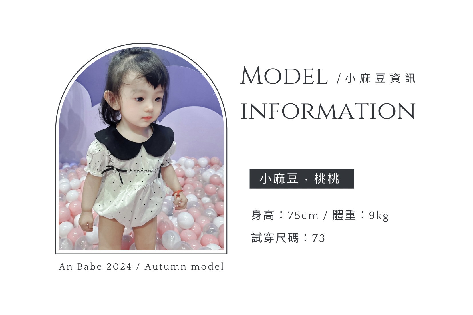 麻豆資訊