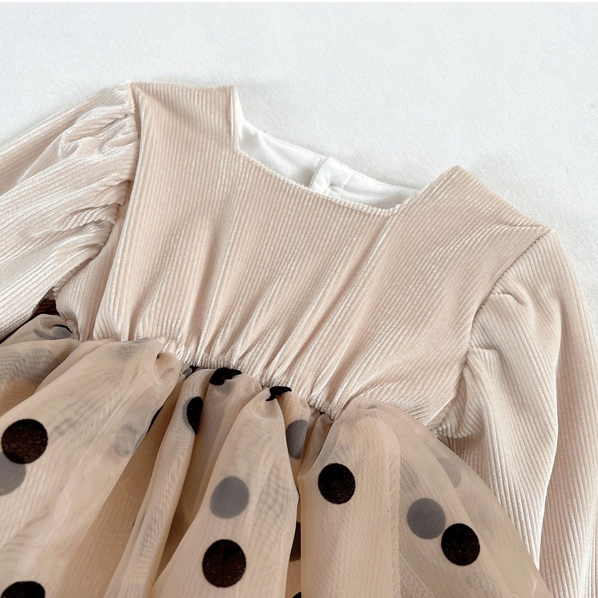 LINE_ALBUM_2025831_250831_130