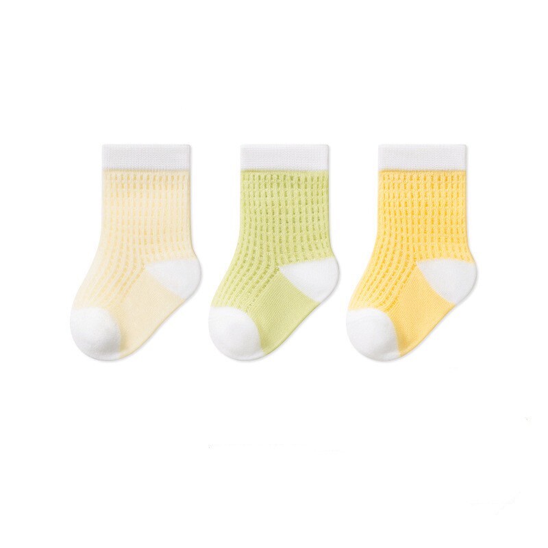 LINE_ALBUM_202585_250805_35