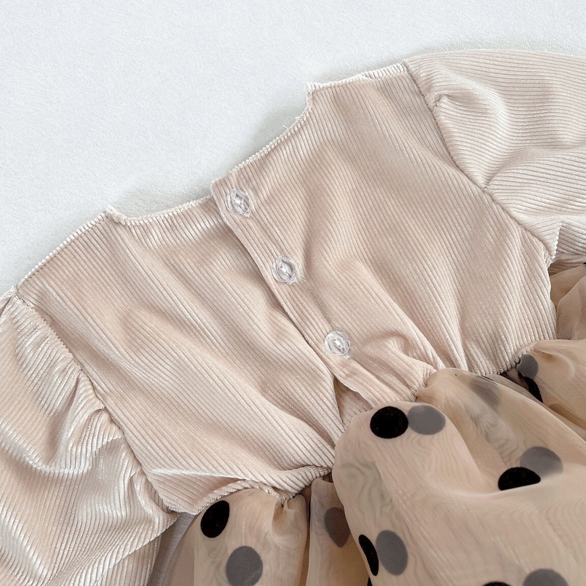 LINE_ALBUM_2025831_250831_128