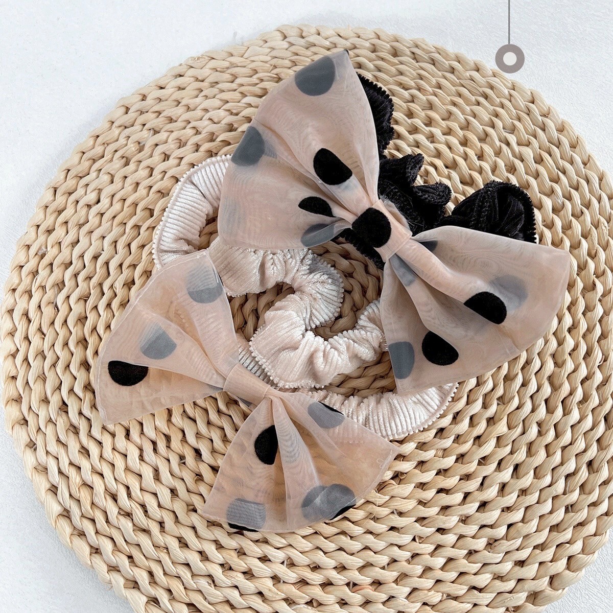 LINE_ALBUM_2025831_250831_131