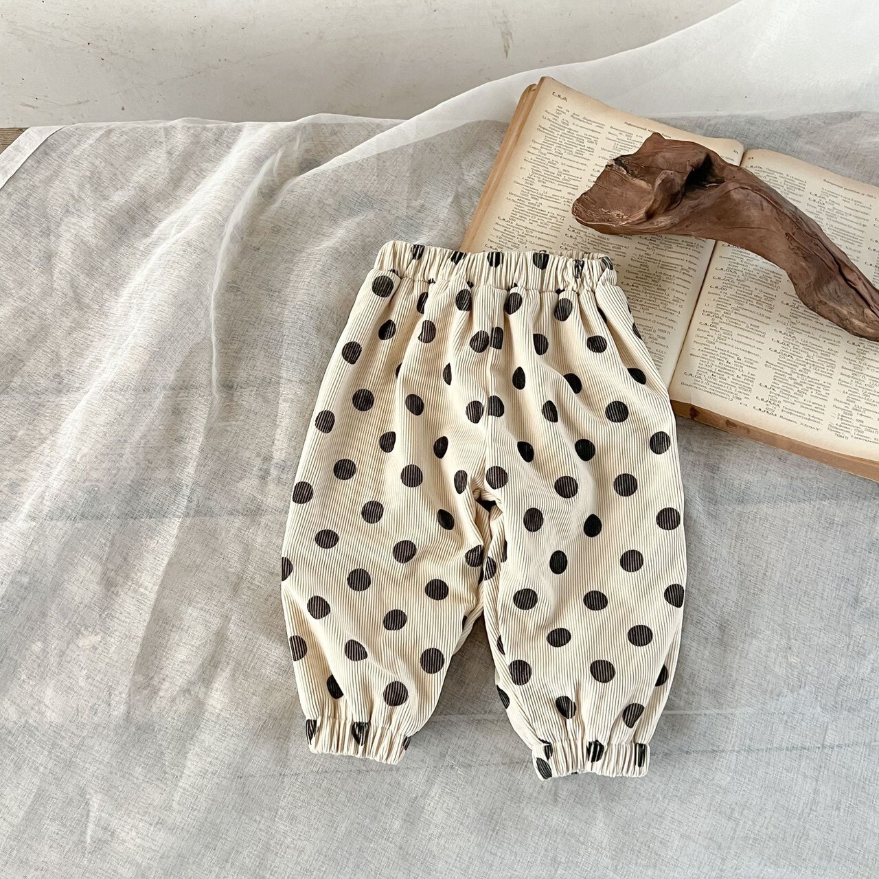 LINE_ALBUM_2025109_251009_43