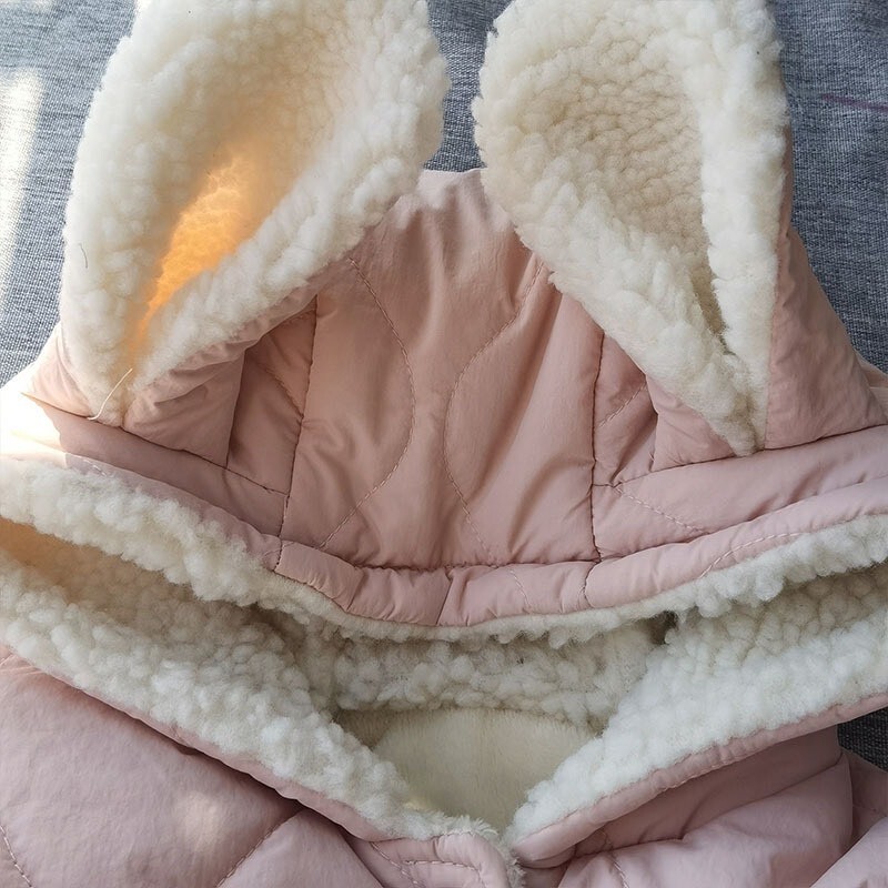 LINE_ALBUM_2025113_251103_51