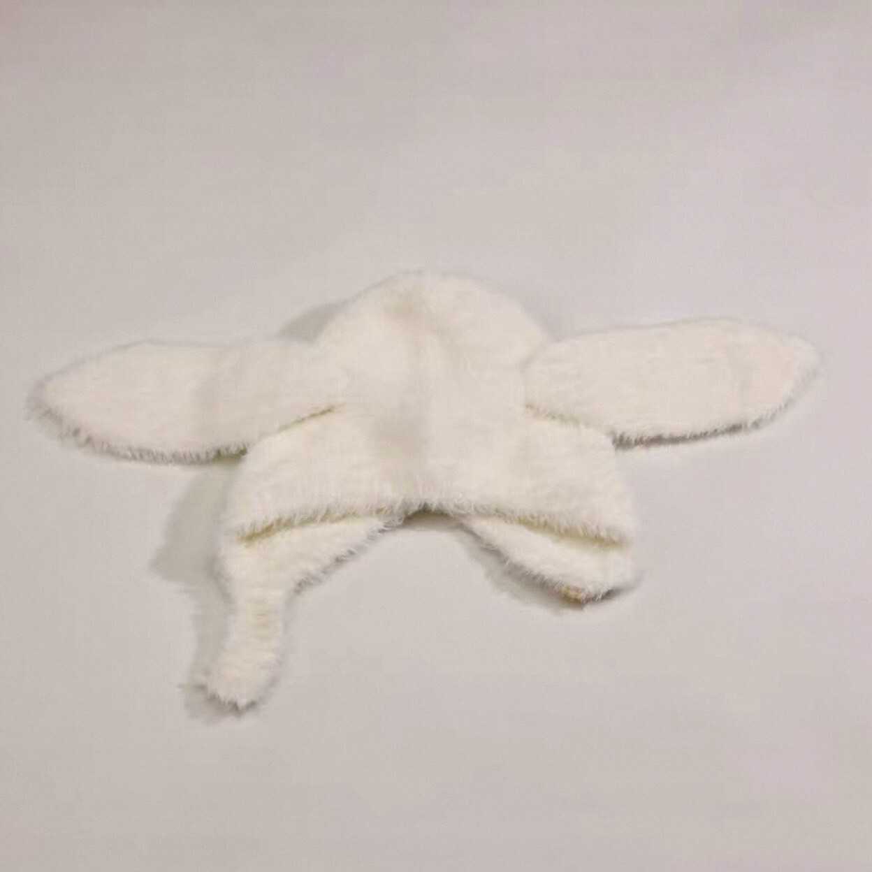 LINE_ALBUM_20251110_251110_121