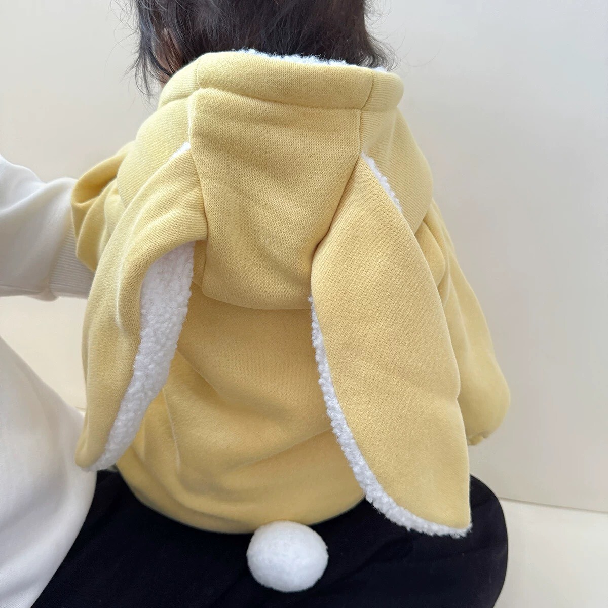 LINE_ALBUM_20251114_251114_108