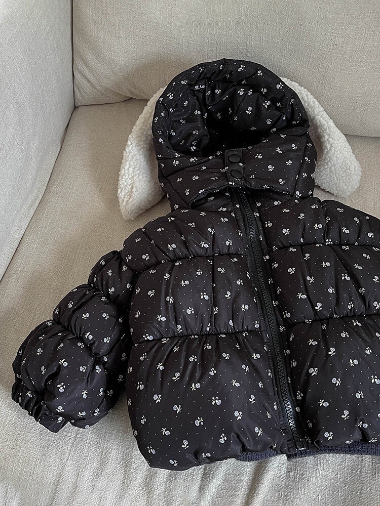 LINE_ALBUM_2025123_251203_119