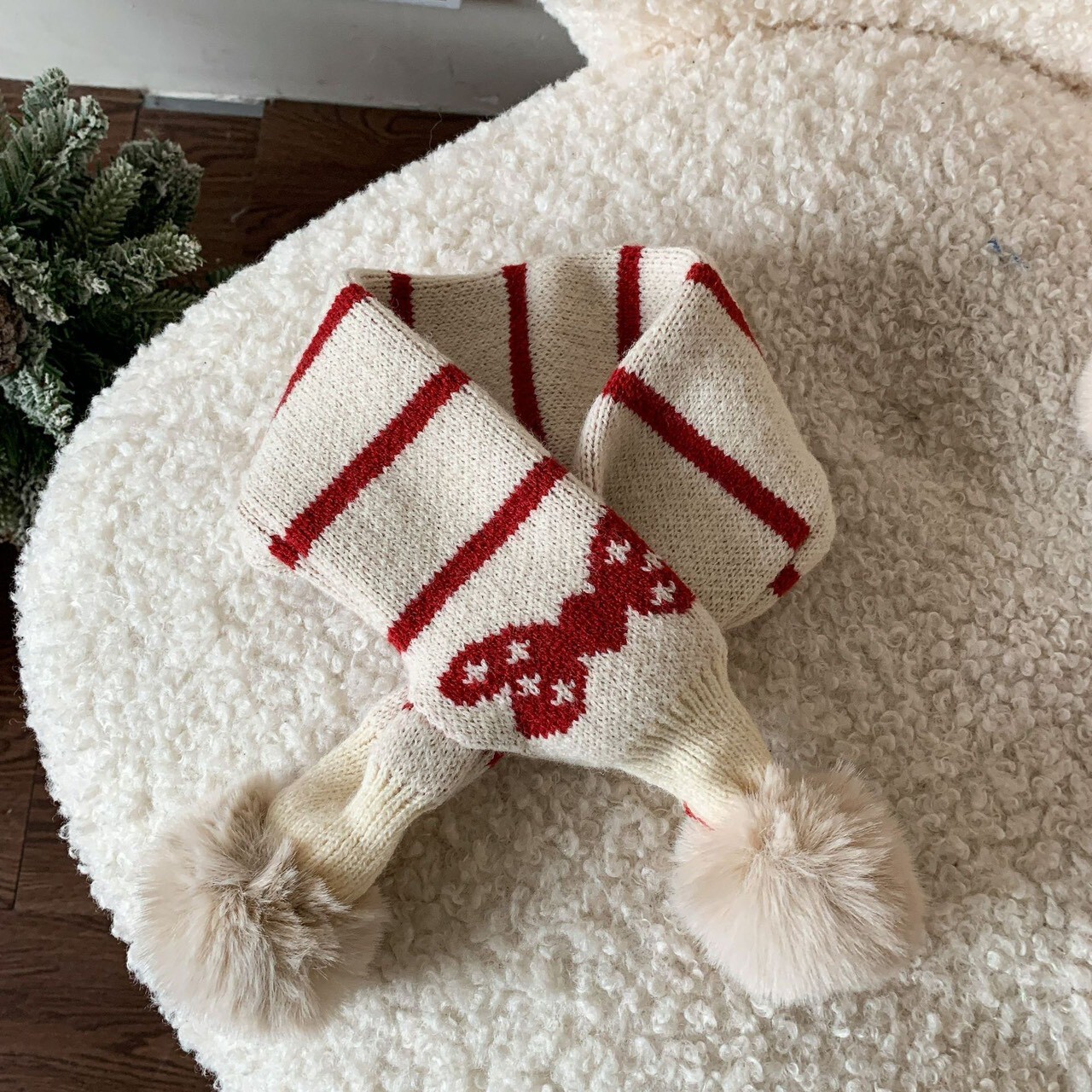 LINE_ALBUM_2025123_251203_91