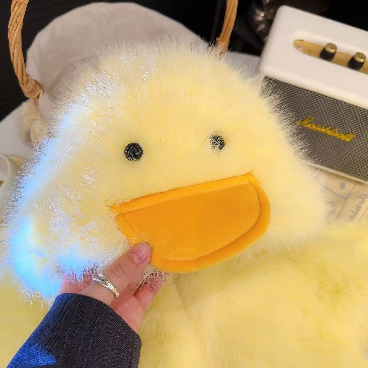 LINE_ALBUM_2025125_251205_50