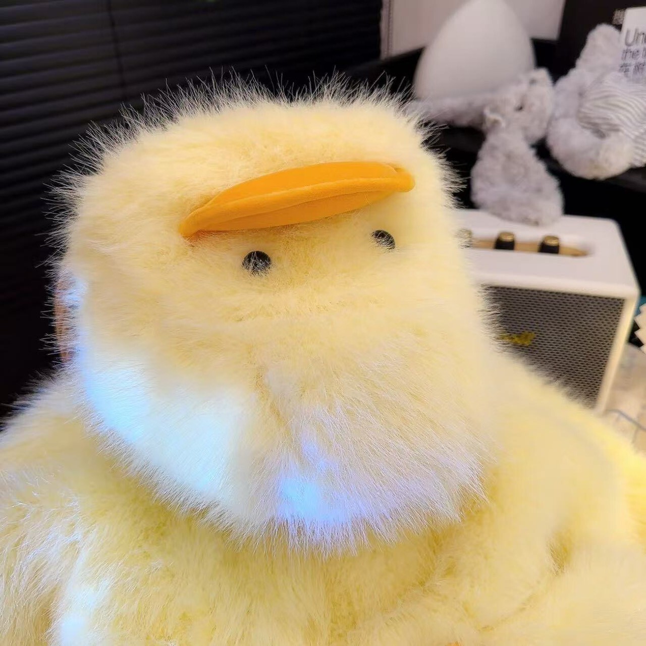 LINE_ALBUM_2025125_251205_49