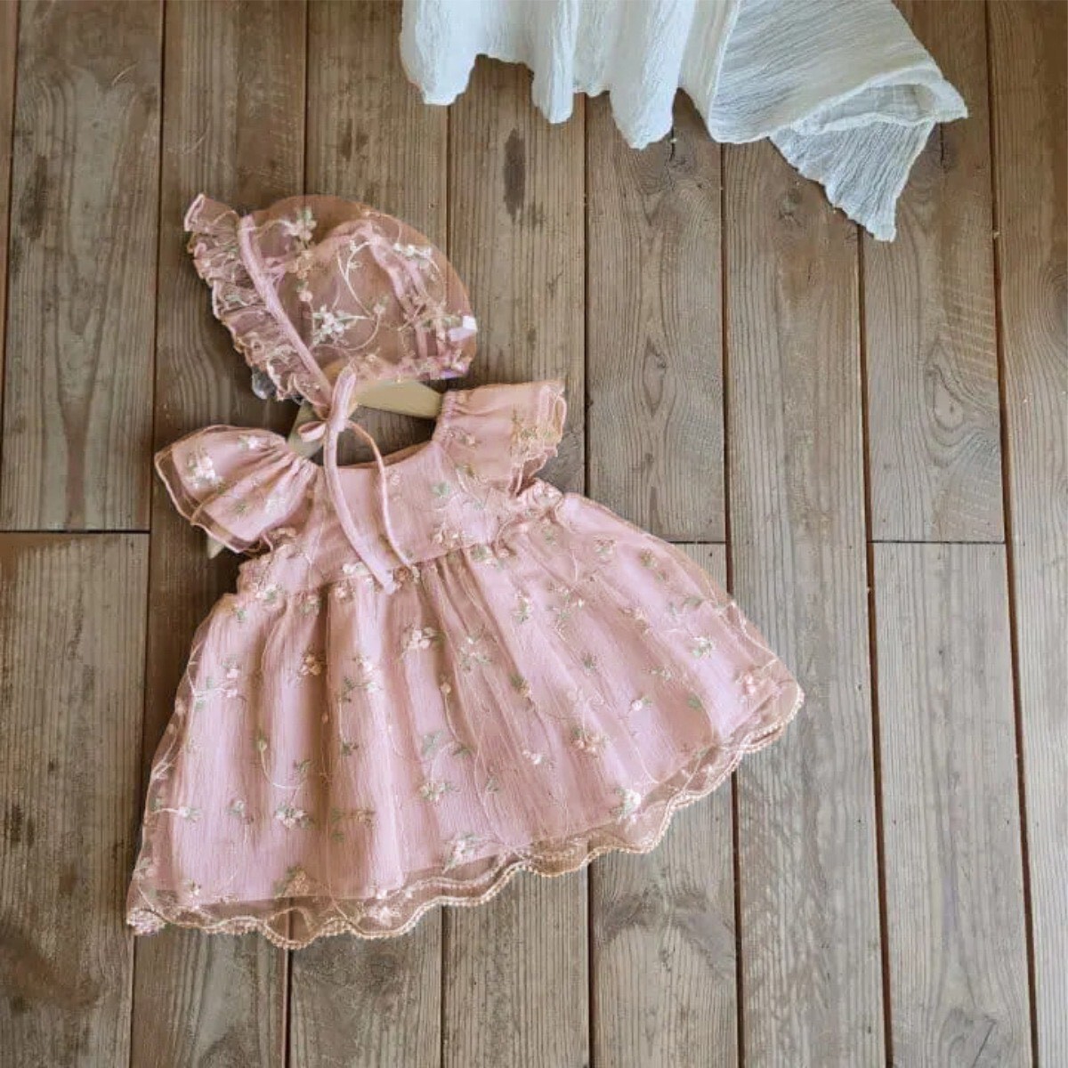 LINE_ALBUM_2026225 _1_260226_88