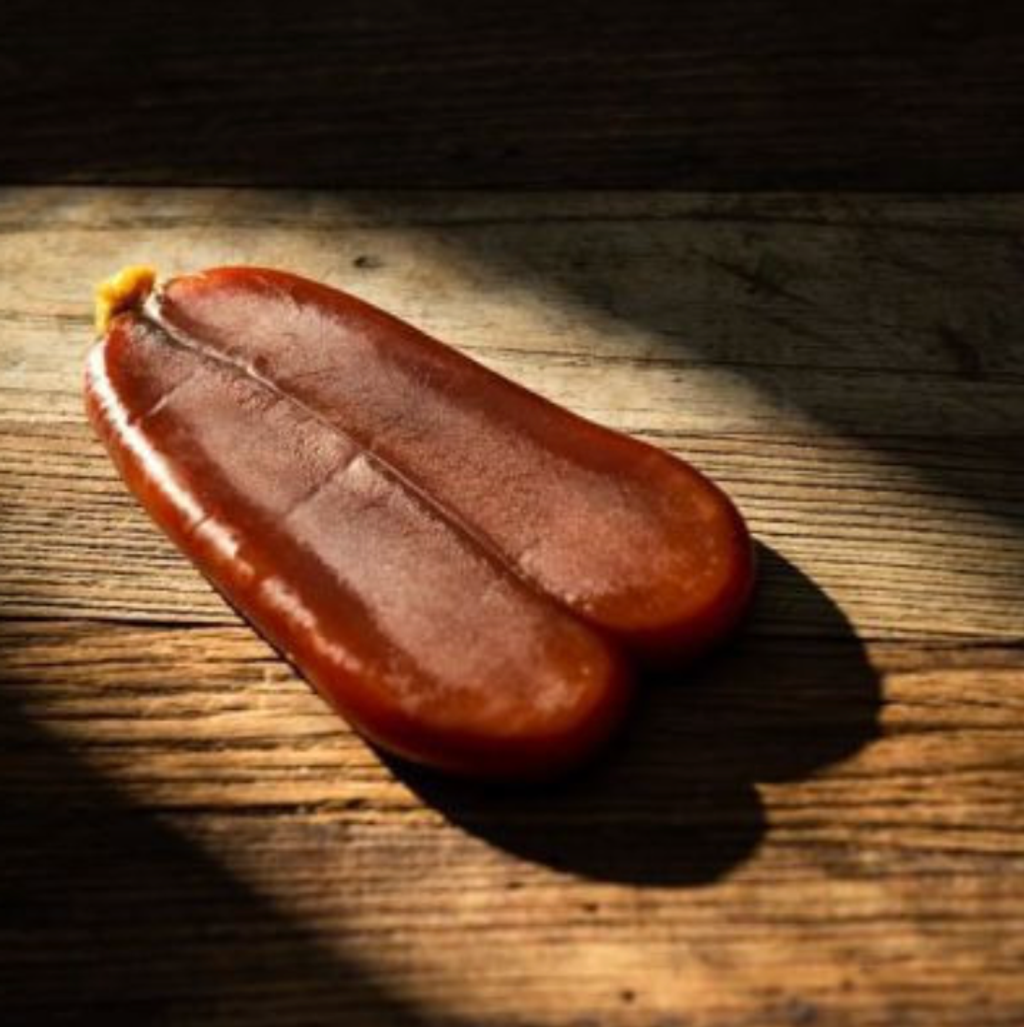 截圖 2026-01-12 中午12.40.59