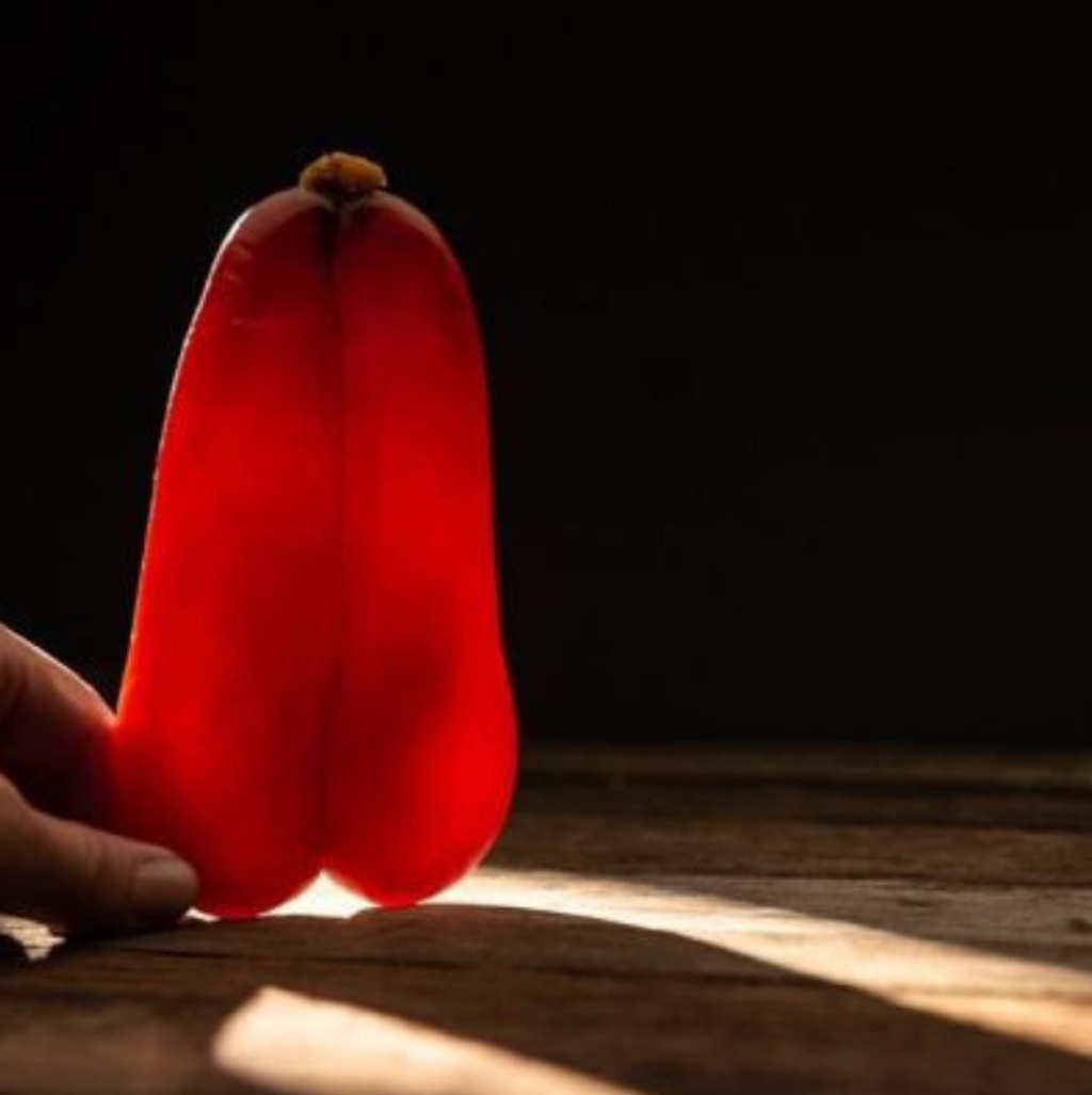 截圖 2026-01-12 中午12.41.11