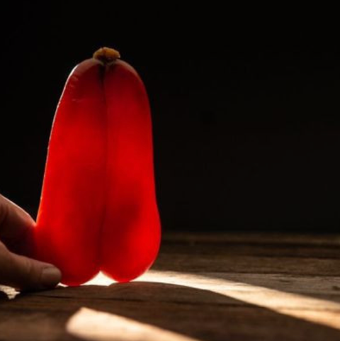 截圖 2026-01-12 中午12.41.11