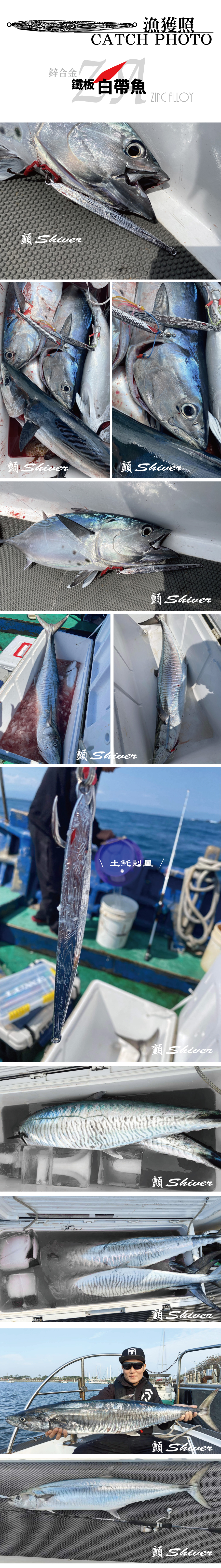 2022-ZAWhite-hairtail-5