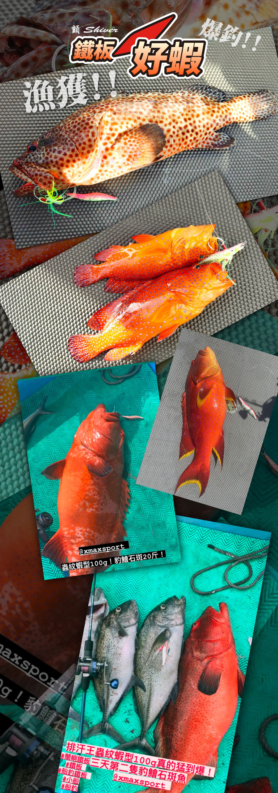 shrimpVacuumcoatingLS-0