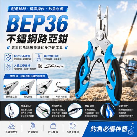 BFP36-首