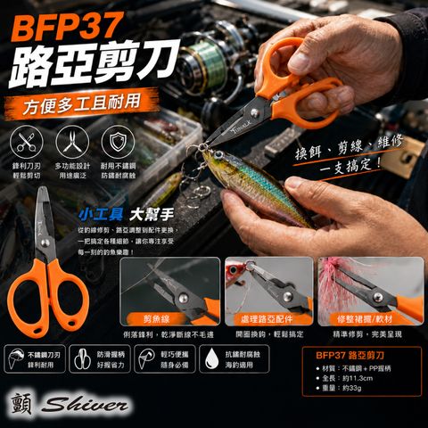 BFP37-首