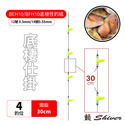 30cm-4首