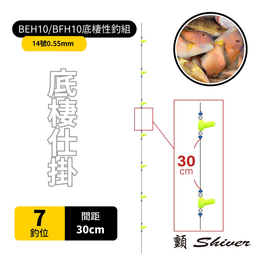 30cm-7首圖