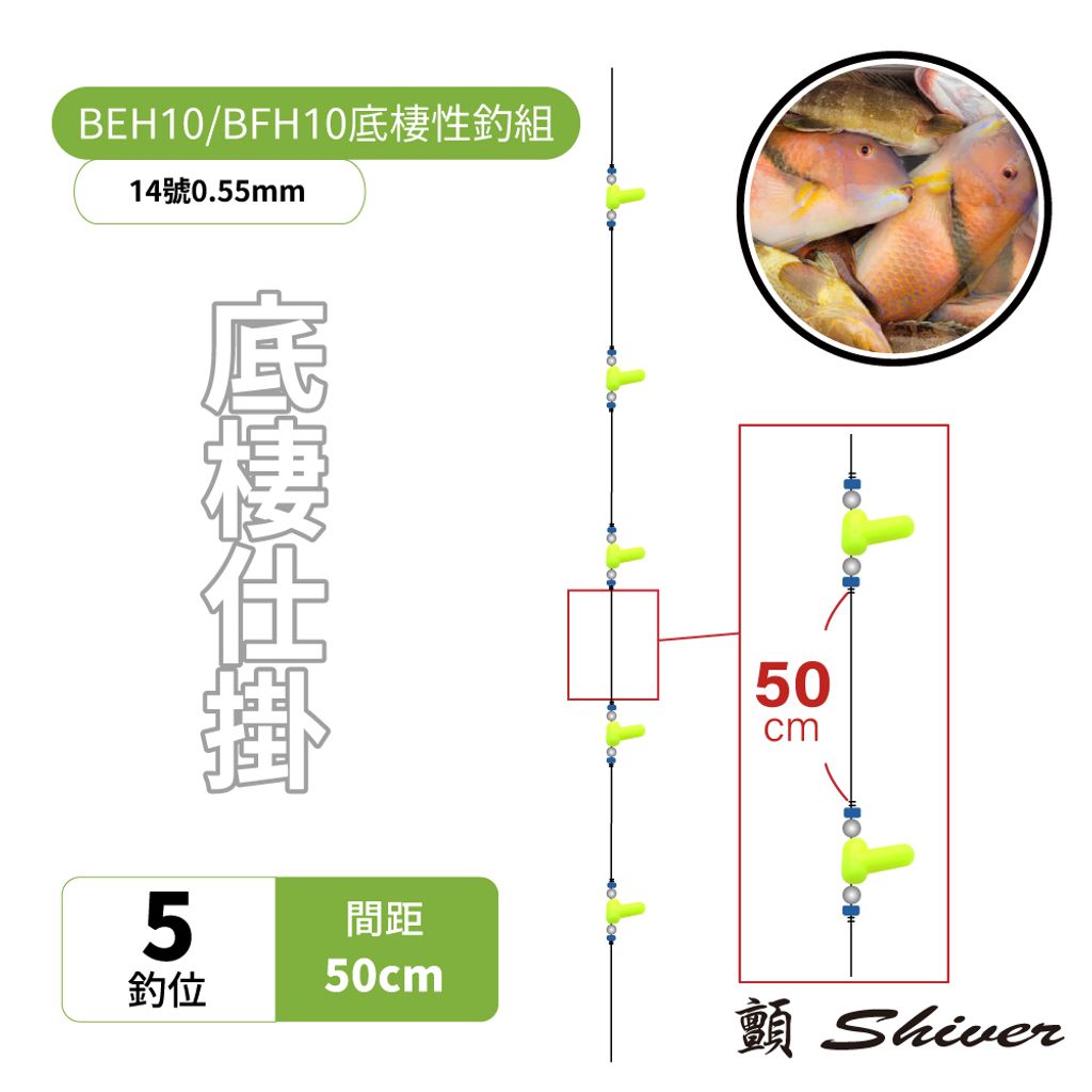 50cm-5首圖
