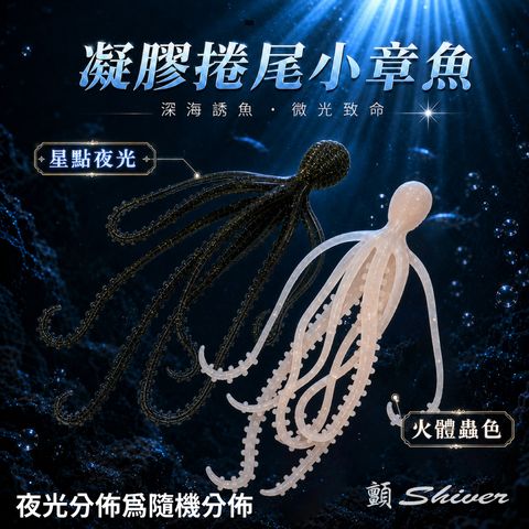 BEB01-星點夜光.火體蟲色-首