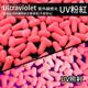 UV粉紅-100入