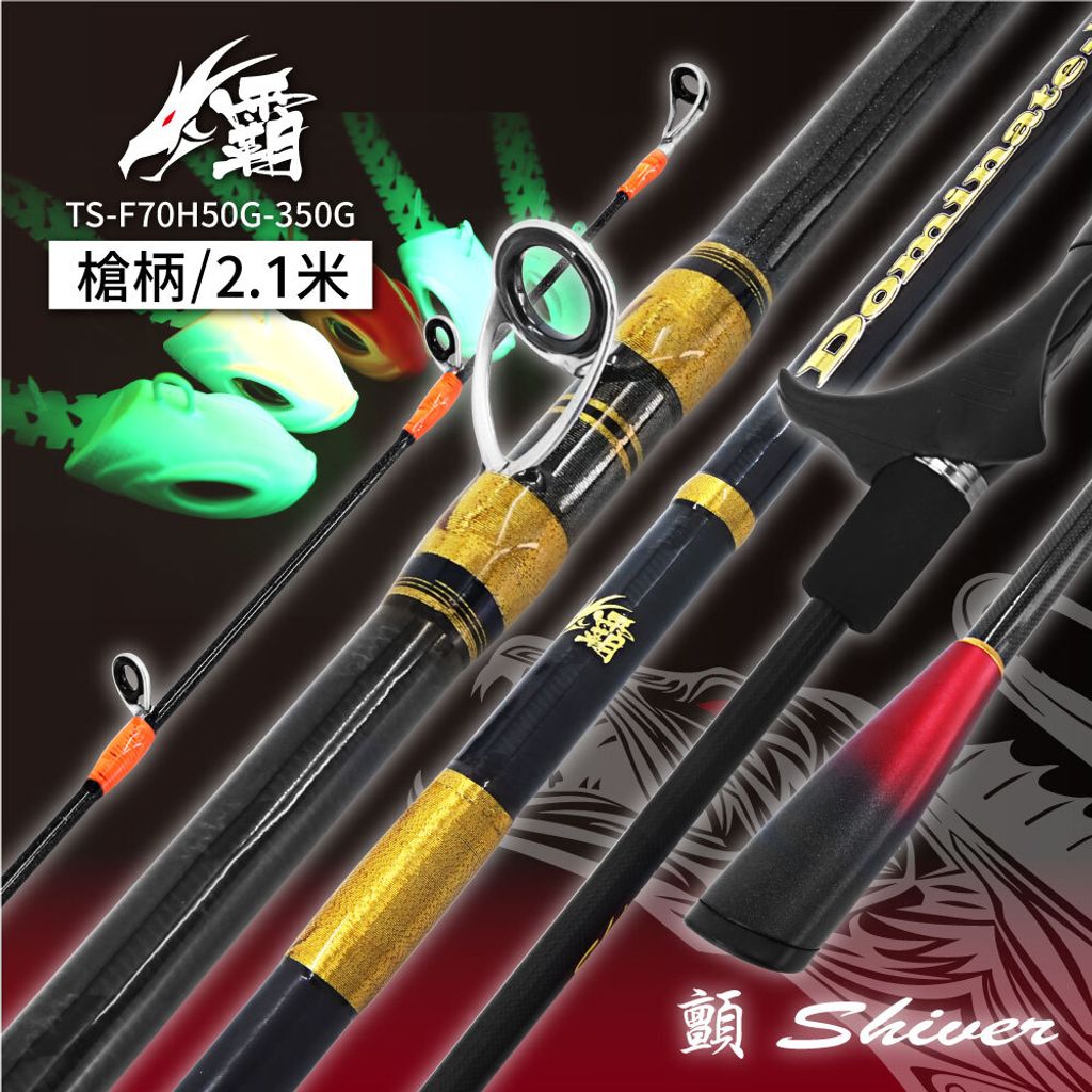 X23-TS-F70H50G-350G-C-首