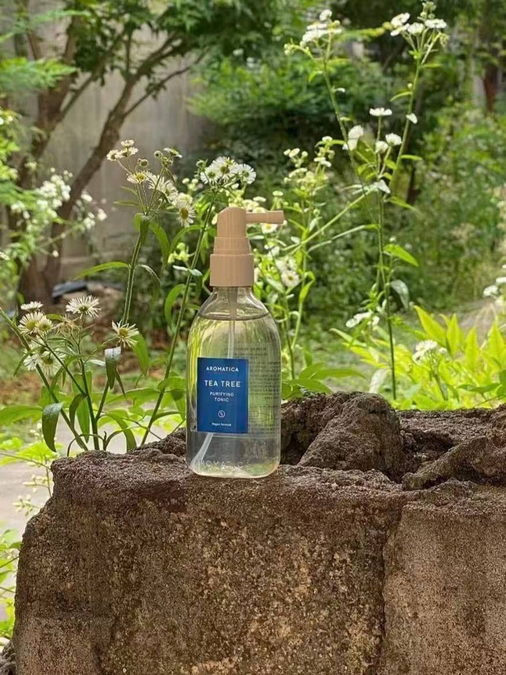 photo_3_2026-03-10_21-23-43