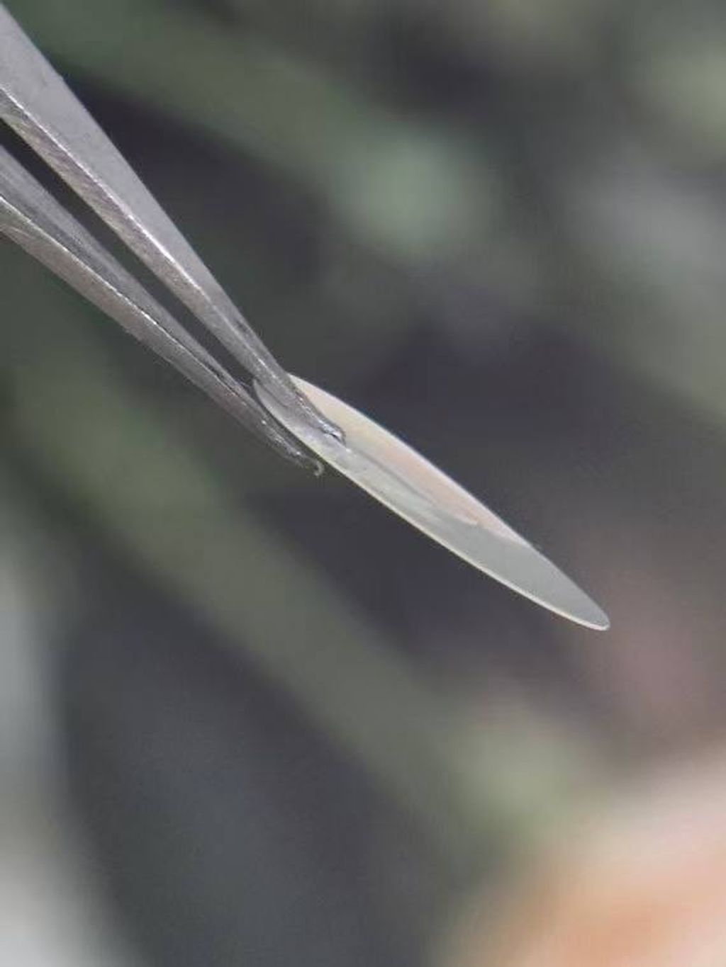 photo_5_2026-03-12_13-41-26