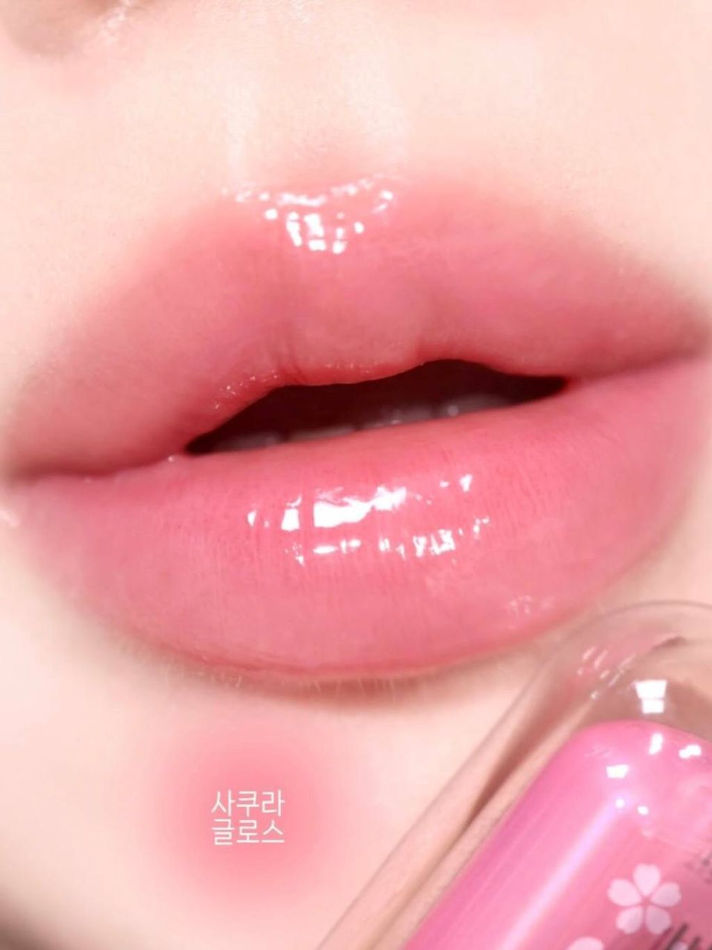 photo_15_2026-03-14_14-02-57