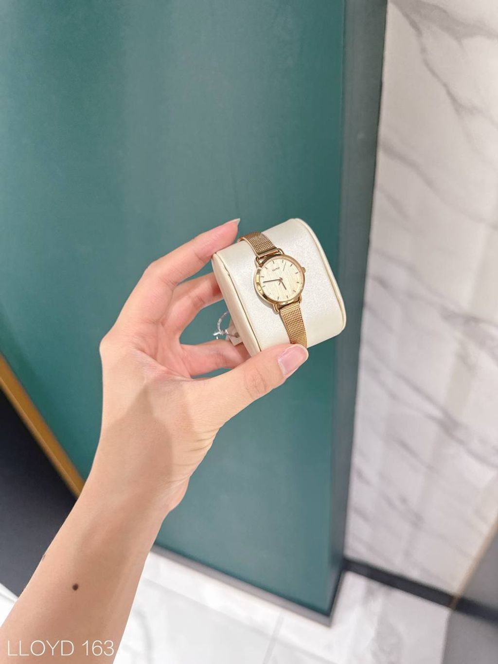 photo_1_2026-03-15_15-41-04