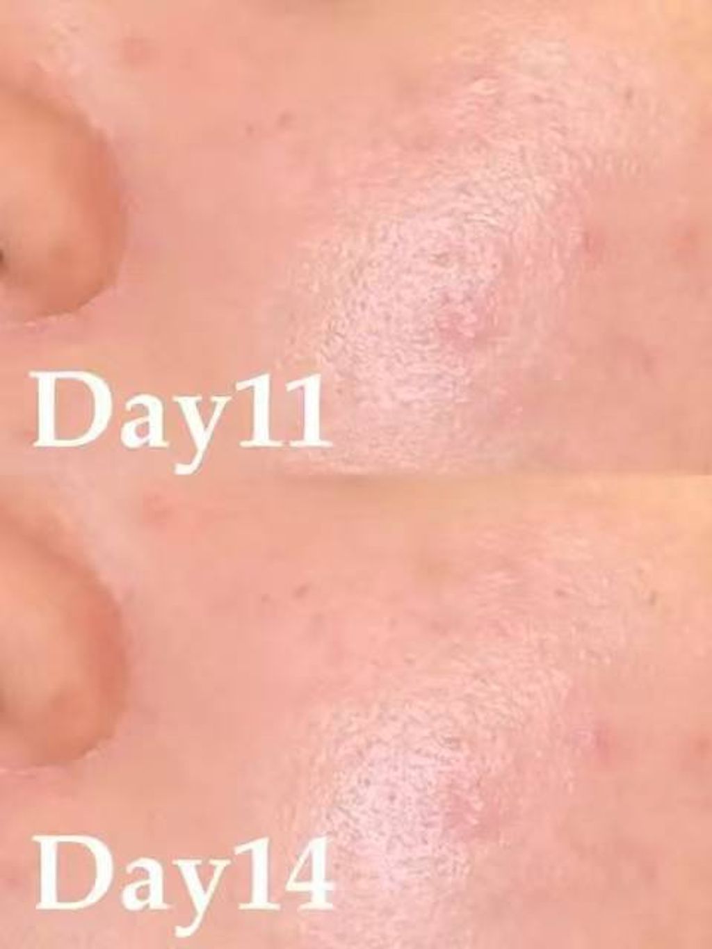 photo_3_2026-03-16_14-05-42