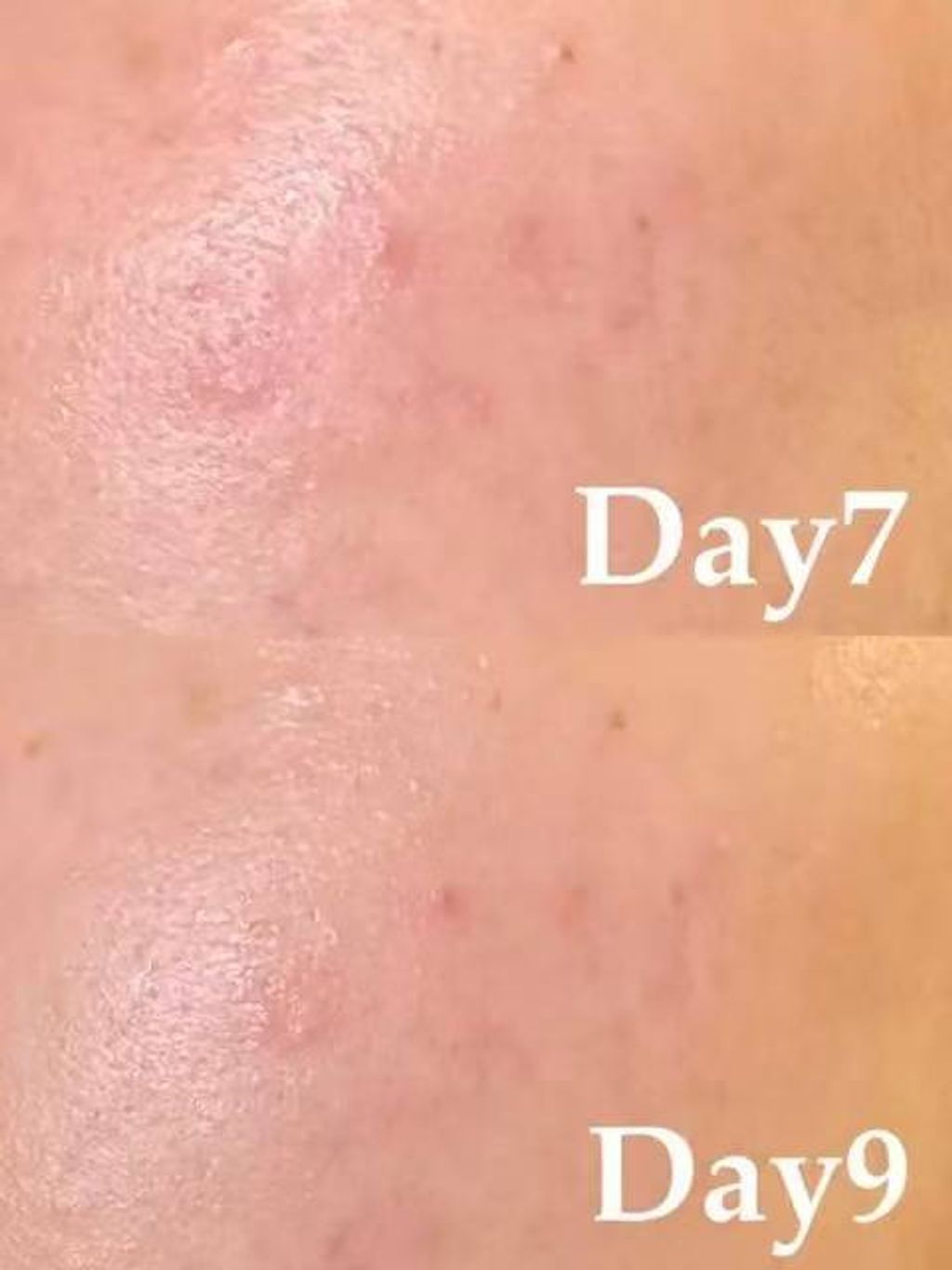 photo_2_2026-03-16_14-05-42