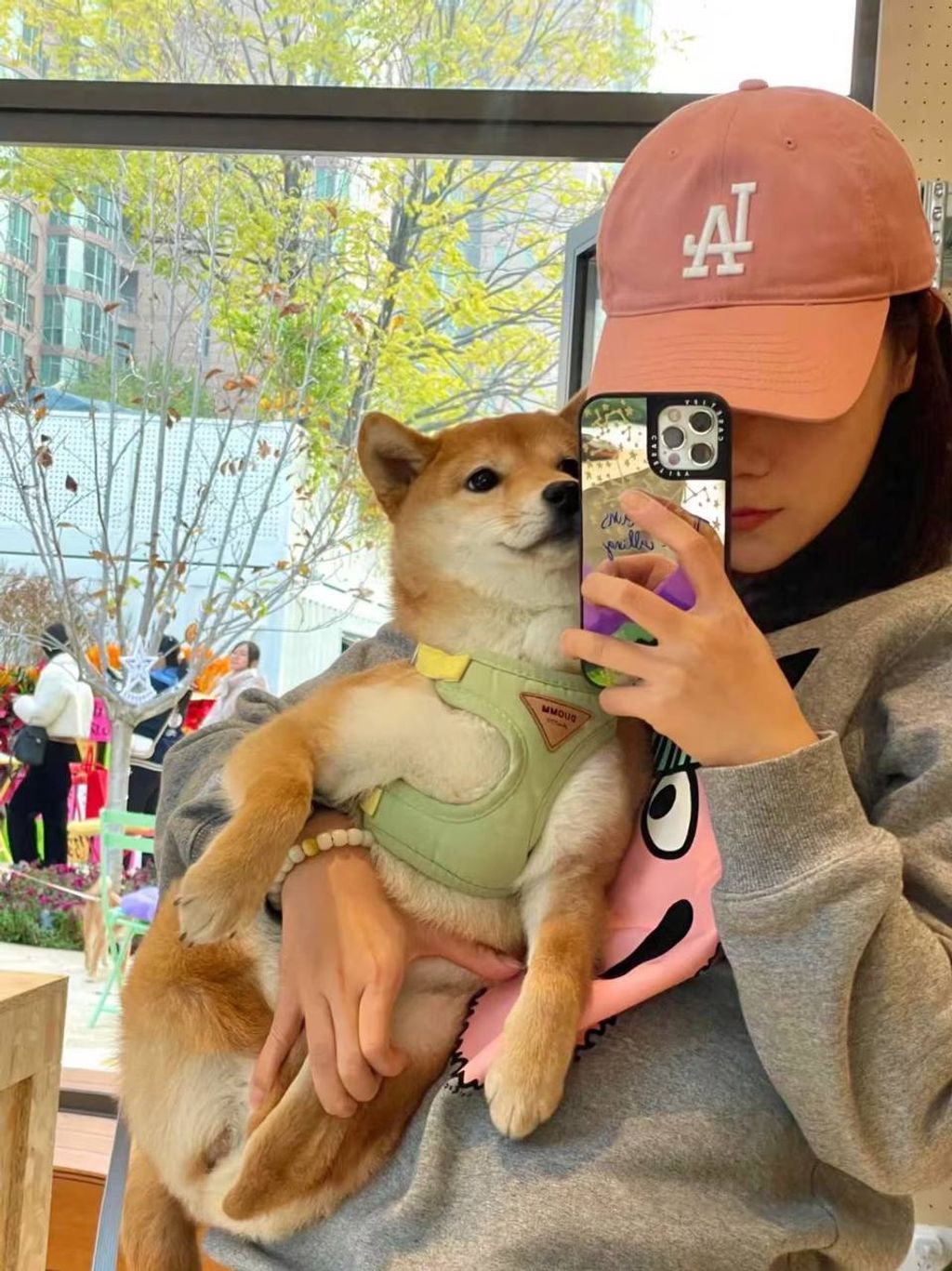 photo_18_2026-03-19_10-16-03