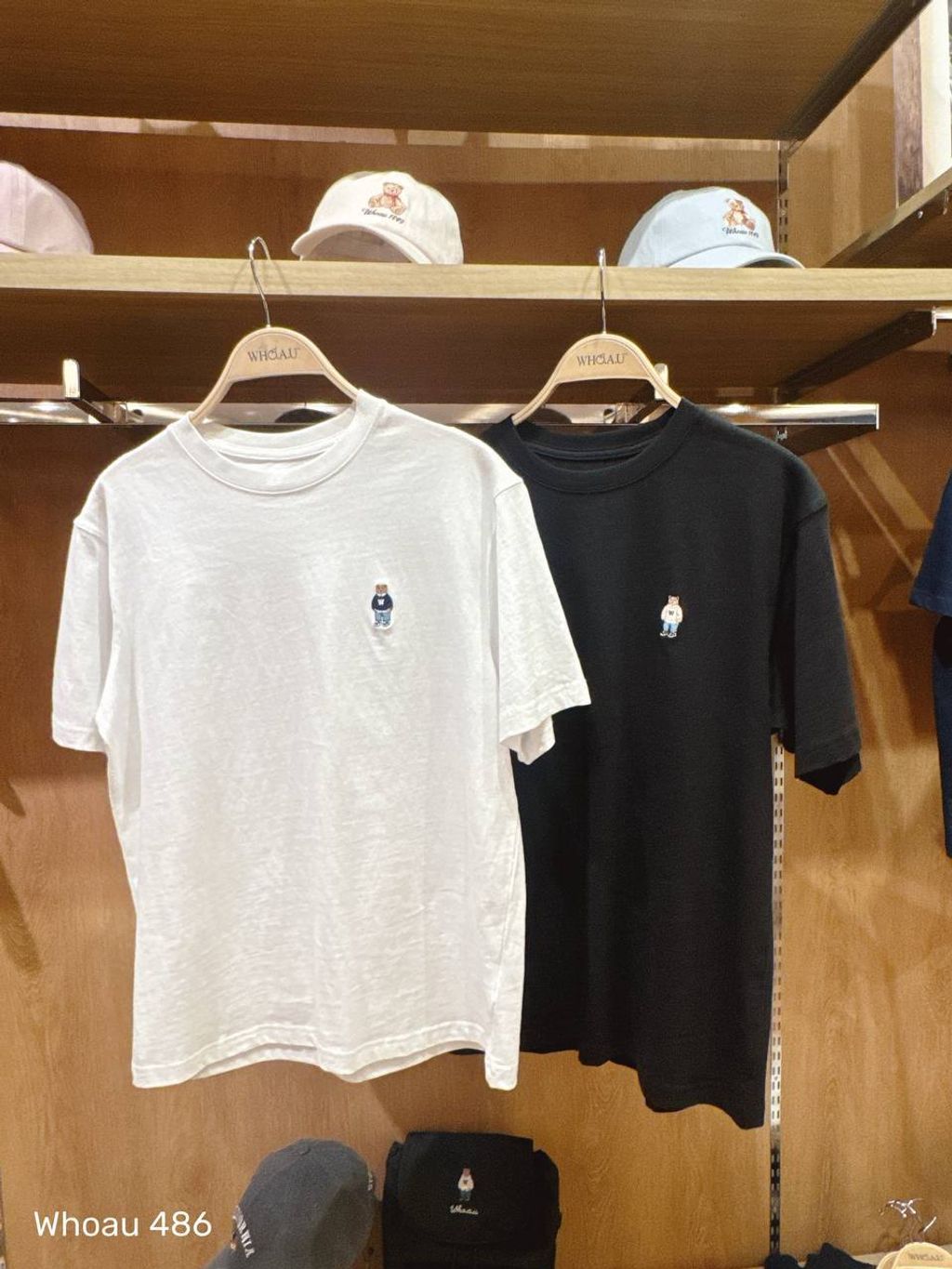 photo_1_2026-03-19_11-28-35