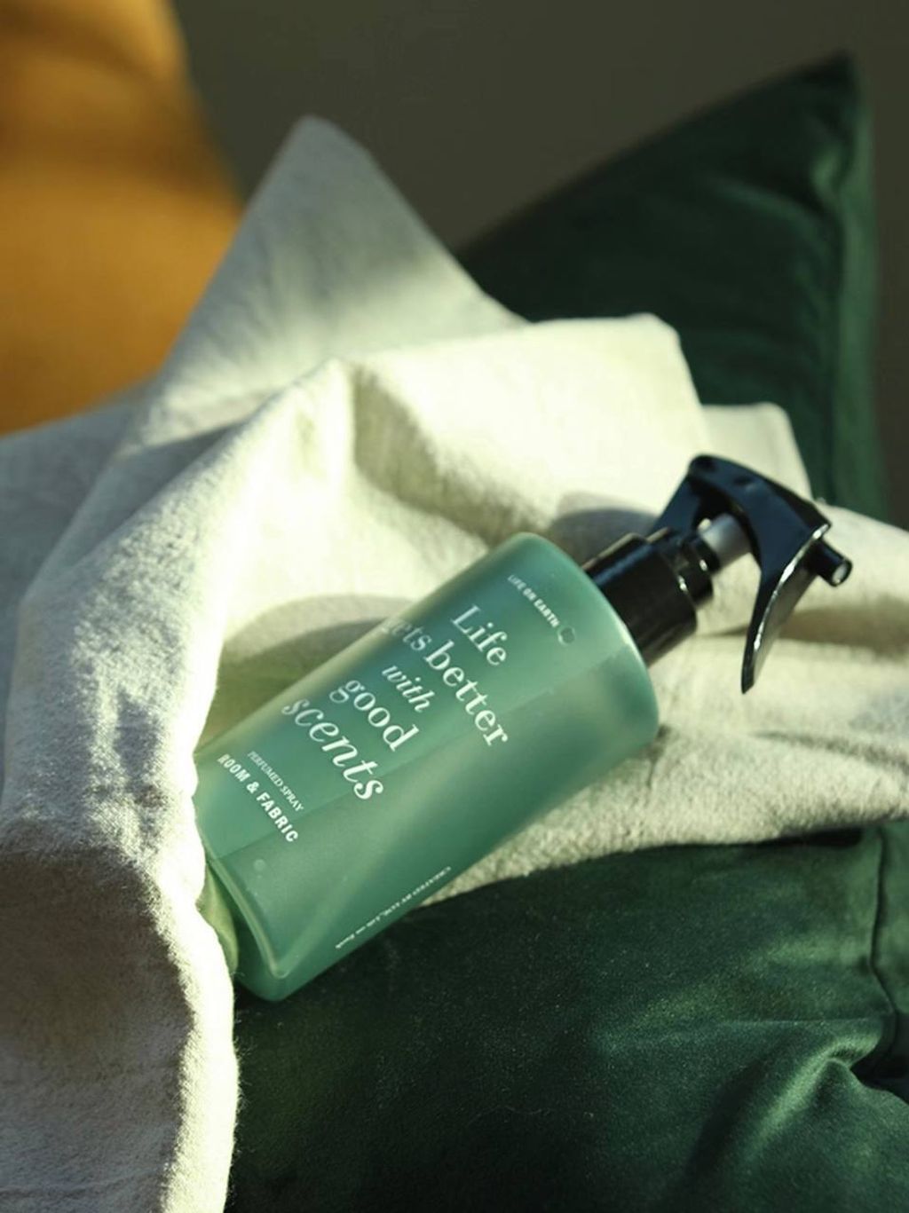 photo_5_2026-03-22_12-50-20