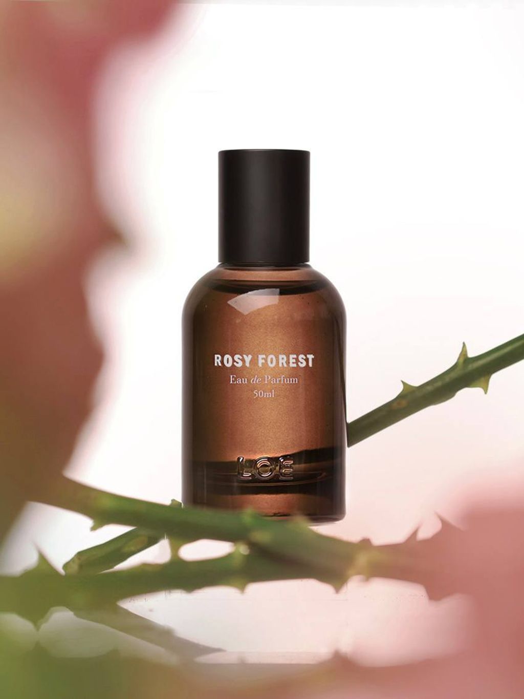 photo_5_2026-03-22_12-58-43